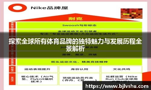探索全球所有体育品牌的独特魅力与发展历程全景解析